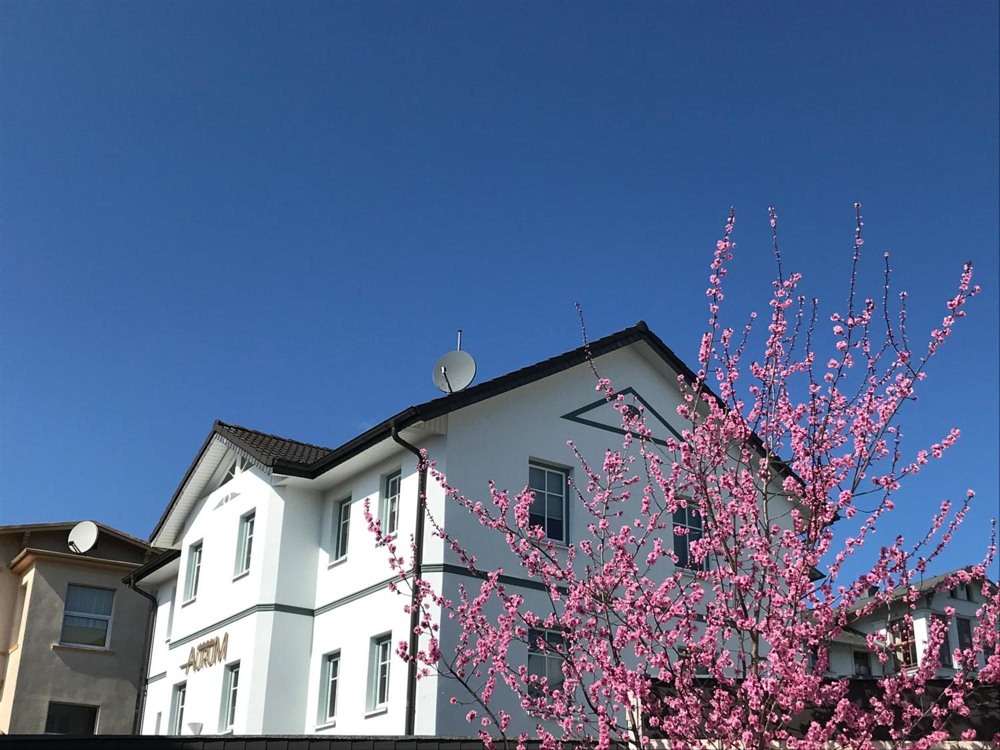 Apartmenthaus Aurum Heringsdorf  Eksteriør billede